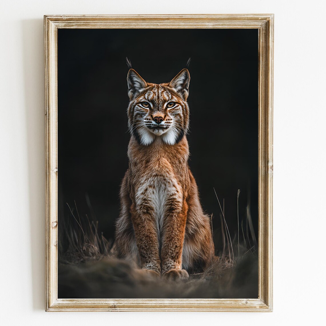 European Lynx Portrait Sitting In Dark Grass Photorealistic Poster
