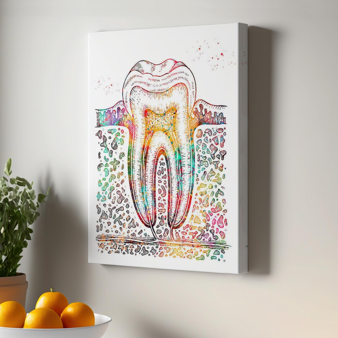 Colorful Tooth Anatomy Diagram Dental Office Modern Wall Art