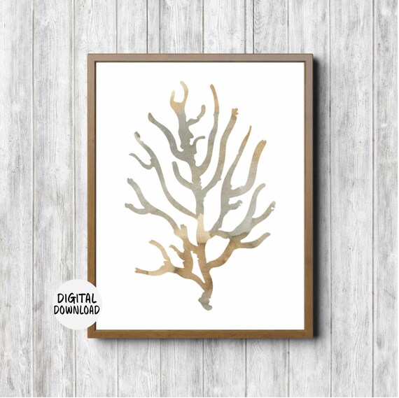 Watercolor Sea Coral Wall Art Beach Theme Decor Neutral Nursery Office Poster 11 X 14 8 X 10 5 X 7