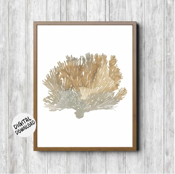 Sea Fan Coral Seaweed Wall Art Watercolor Sea Plant Print Nautical Nursery Poster Beach House Bathroom Decor Sealife