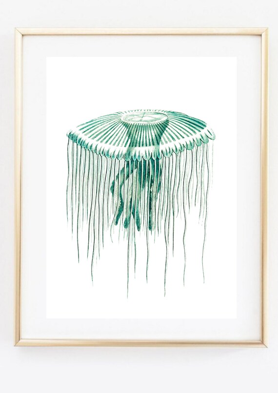 Din A4 Art Print Without Frame Jellyfish Medusa Cnidarian Vintage Retro Turquoise Print Poster Image