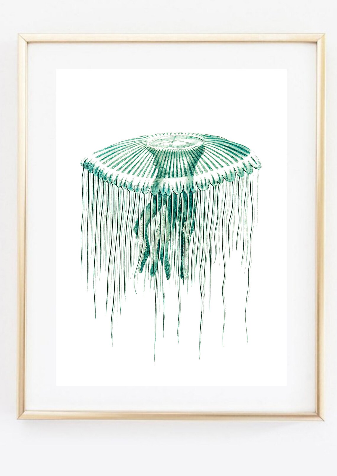 Din A4 Art Print Without Frame Jellyfish Medusa Cnidarian Vintage Retro Turquoise Print Poster Image