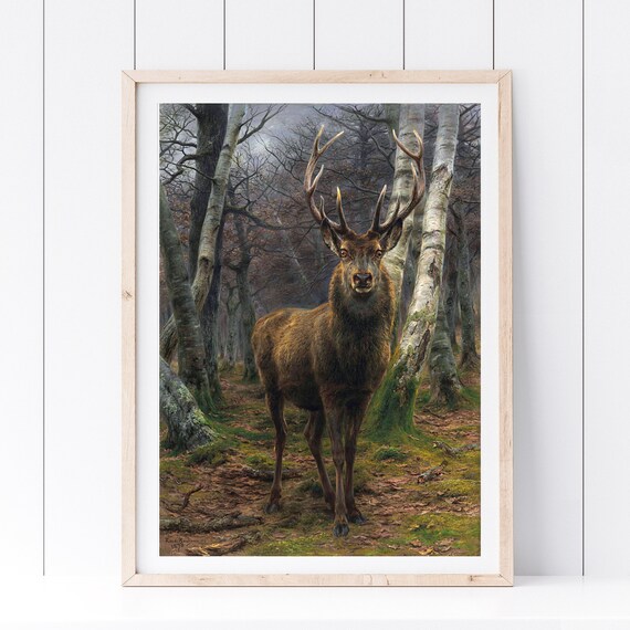 Majestic Red Deer Stag In Birch Forest Vintage Wildlife Oil Painting Poster