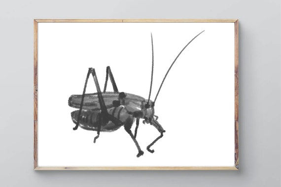 Din A4 Art Print Without Frame Grasshopper Grasshopper Insect Ink Ink Drawing Nature Picture Poster Gift
