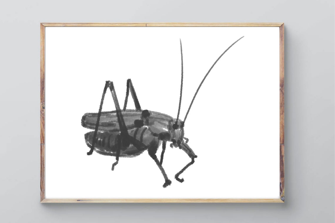 Din A4 Art Print Without Frame Grasshopper Grasshopper Insect Ink Ink Drawing Nature Picture Poster Gift