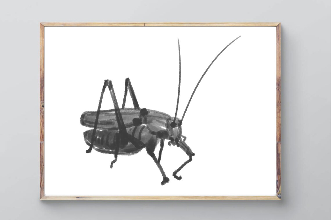 Grasshopper Black Ink Watercolor Large Insect Minimalist Art Print