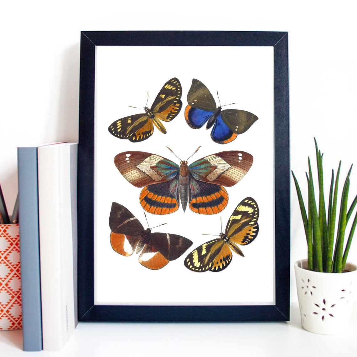 Din A4 Art Print Without Frame Butterfly Butterflies Moth Moth Display Board Retro Vintage Poster Print Picture - Image 2