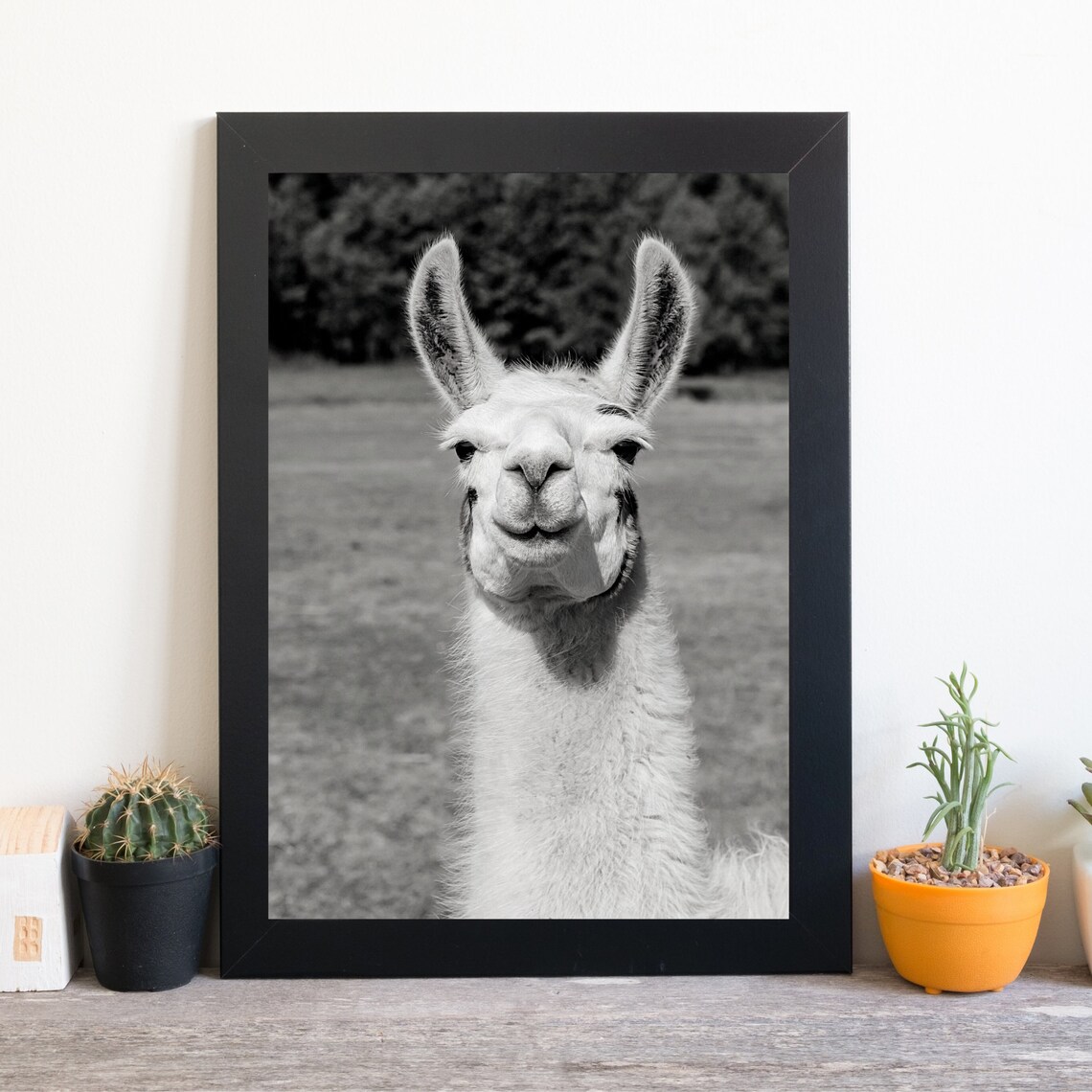 White Alpaca Black White Photo Portrait Cute Funny Animal Gift Poster - Image 3