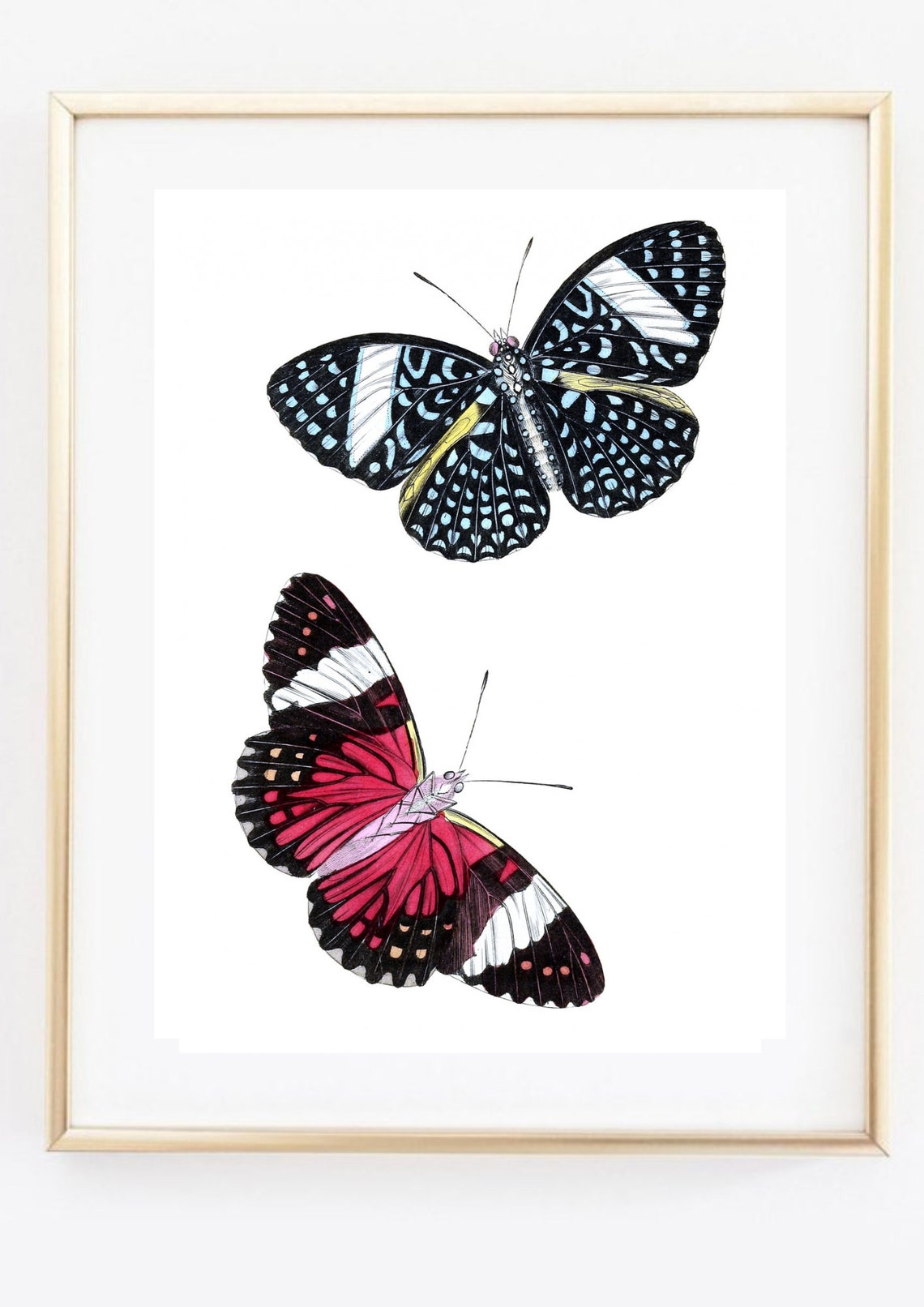 Vintage Butterfly Pair Red Blue Botanical Illustration Wall Art Print - Image 3