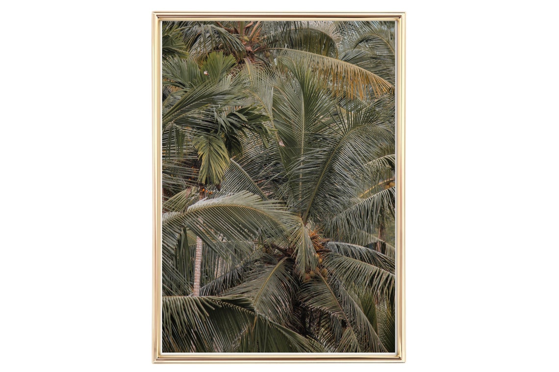 Din A4 Art Print Without Frame Tropical Palms Tropical Palm Palm Forest Exotic Photo Art Nature Print Poster Image - Image 2