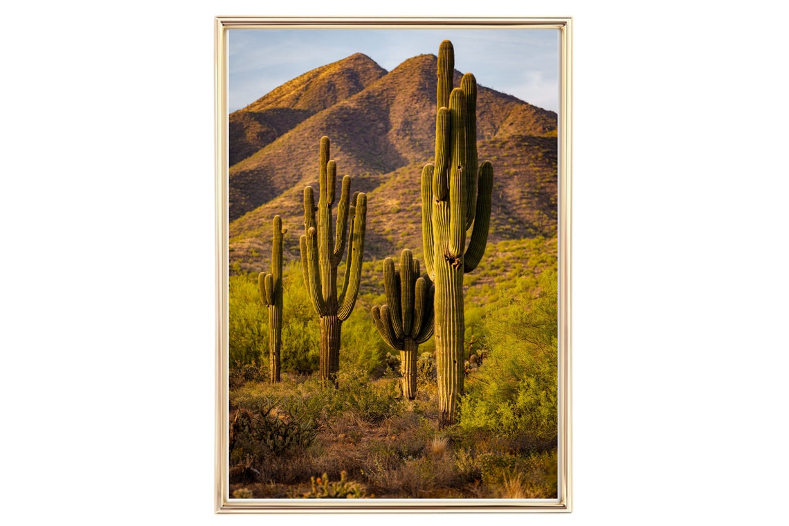 Saguaro Cactus Desert Landscape with Golden Mountain Wall Art Poster