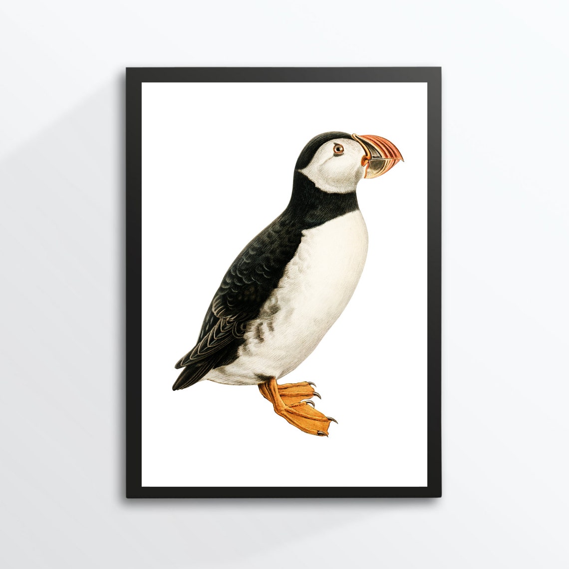 Puffin Bird Nature Image Poster - Image 2
