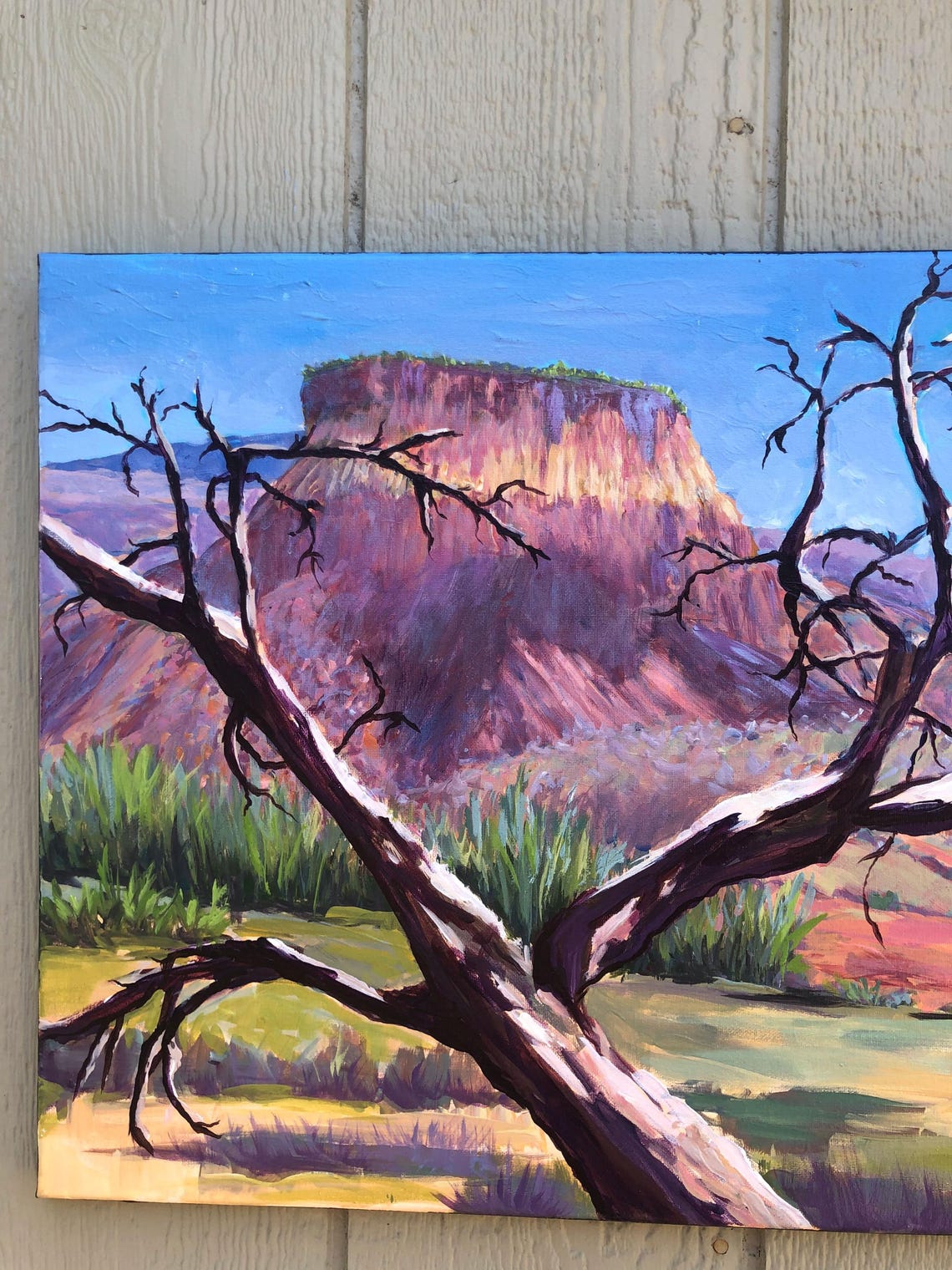 Abiquiu New Mexico Red Rock Mesa Twisted Juniper Desert Poster - Image 5