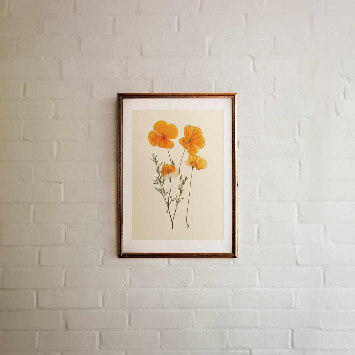 Pressed Orange Poppy Flowers Botanical Wall Art Print Autumn Poster - Image 3