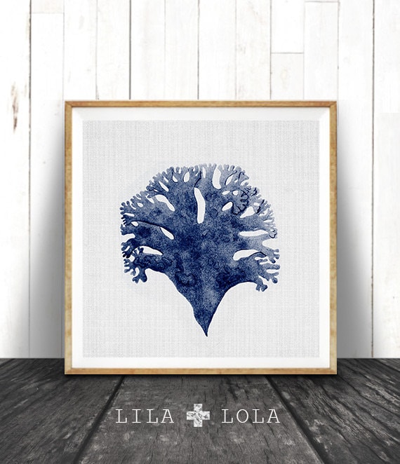 Navy Blue Coral Canvas Print Coastal Seaweed Watercolor Botanical Art