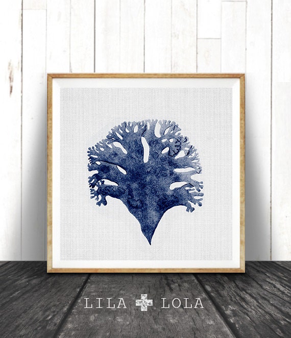 Navy Blue Coral Print Coastal Seaweed Illustration