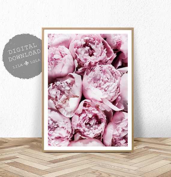 Pink Peony Flower Photography Art Print, Bedroom Decor
