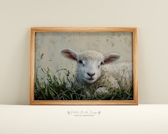 Cute Baby Lamb Lying in Green Grass Rustic Farm Animal Poster