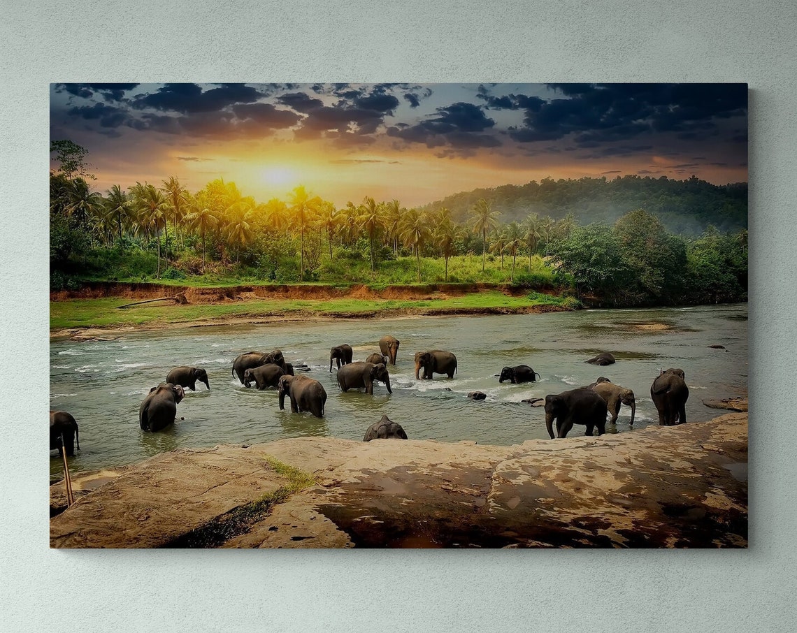 Elephant Herd Bathing In Jungle River At Sunset Wildlife Wall Poster - Image 3