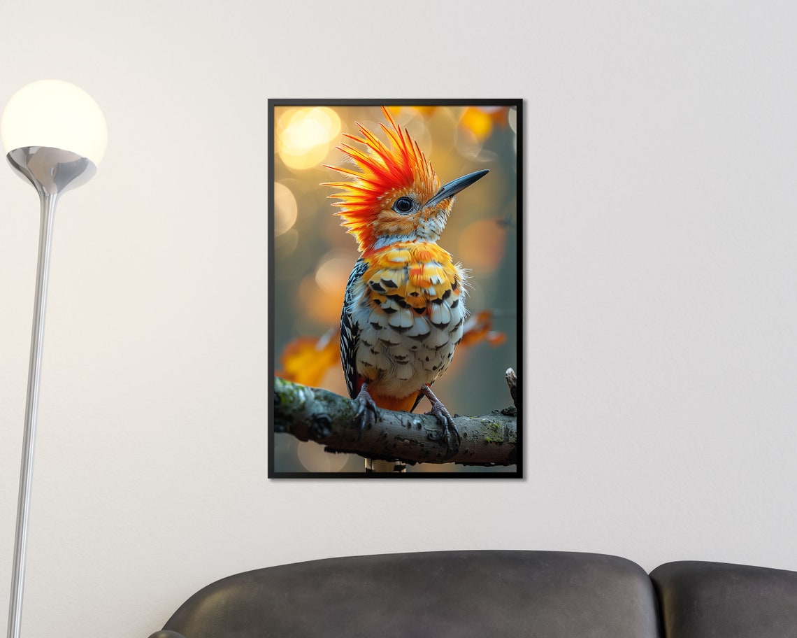 Hoopoe Bird Orange Crest Close Up Wildlife Birdwatcher Wall Poster