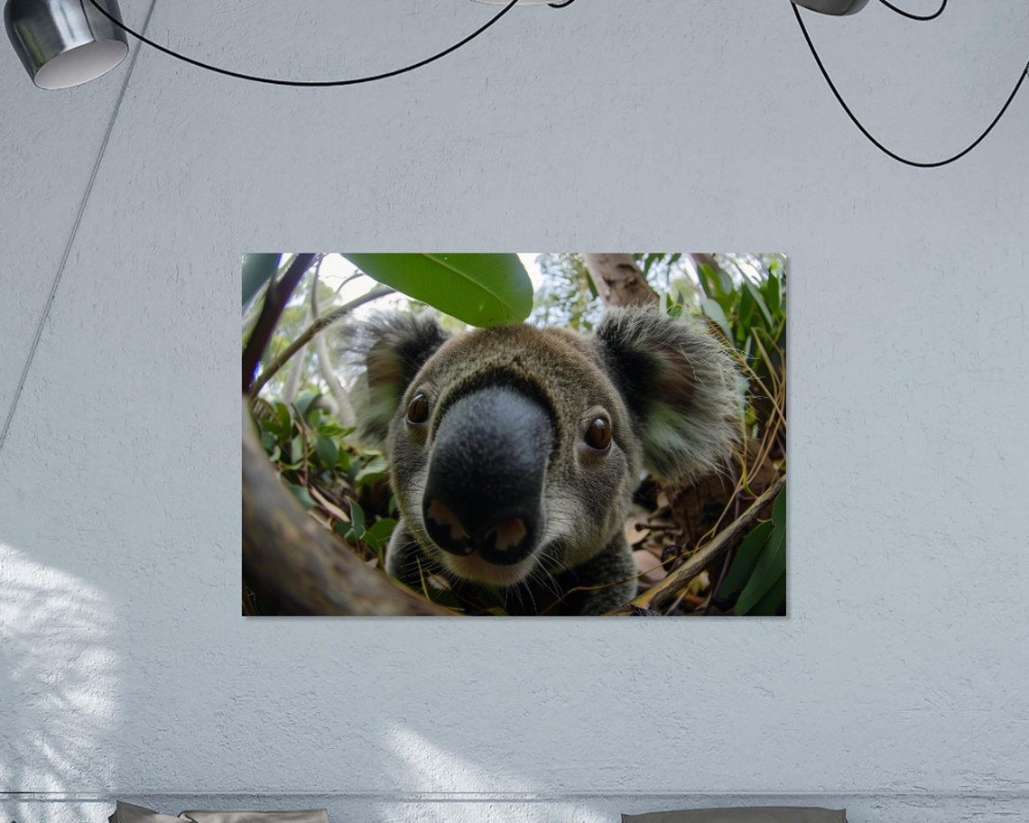 Koala Nose Close Up Fish Eye Eucalyptus Wildlife Photography Poster - Image 3