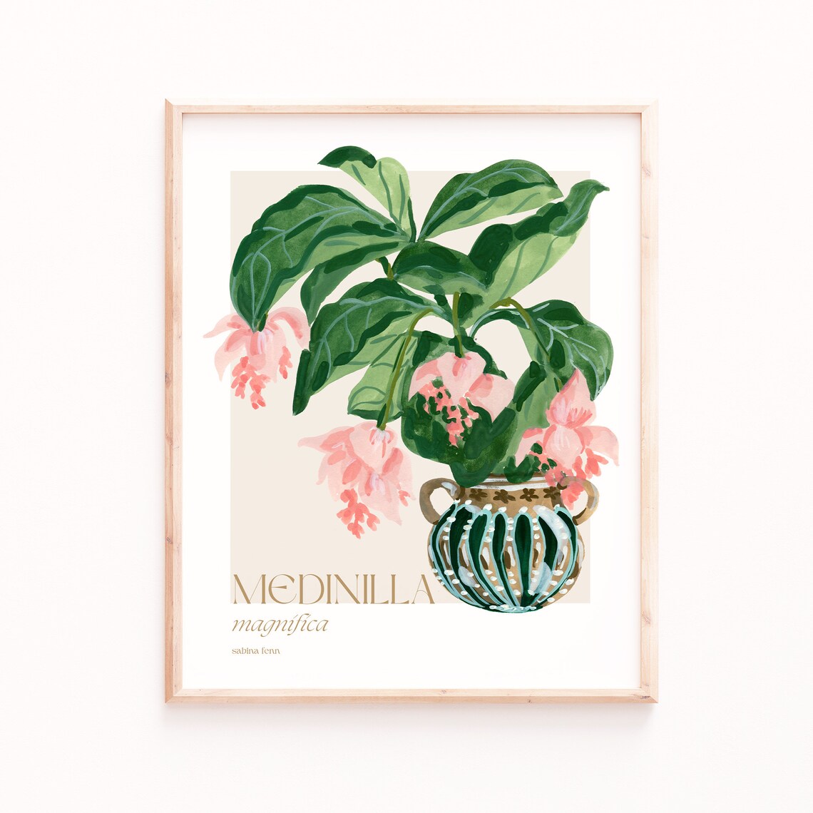 Medinilla Magnifica Botanical Beauty Art Print