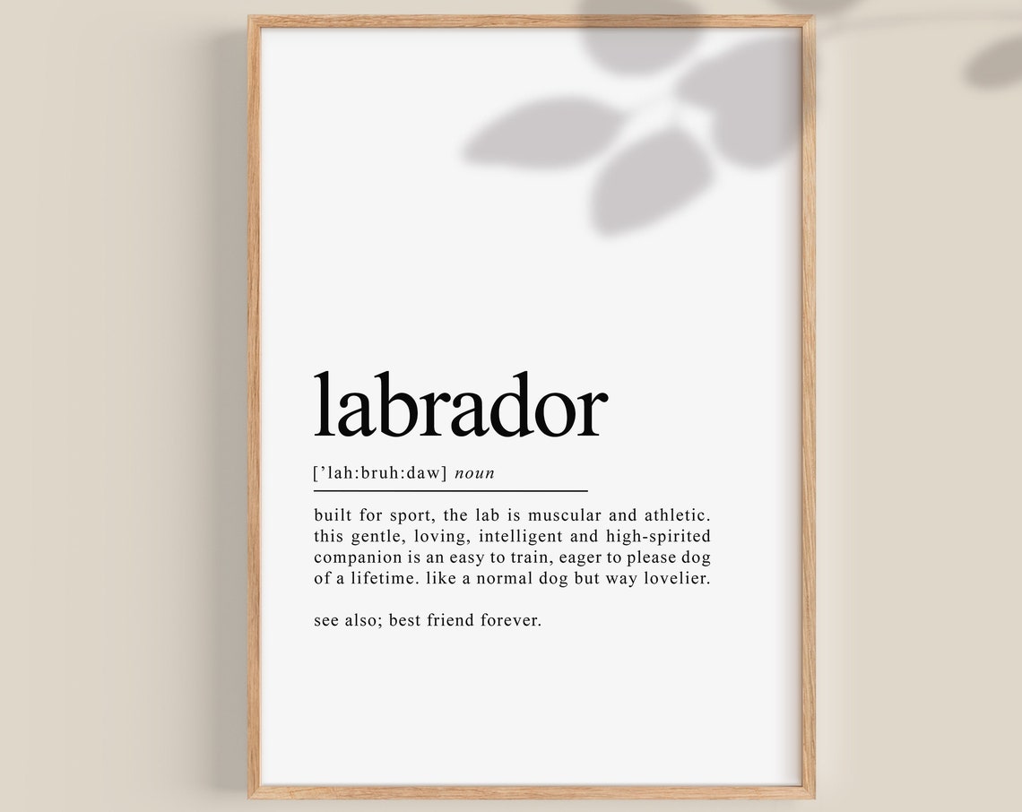 Labrador Dog Definition Typography Funny Dog Lover Gift Poster