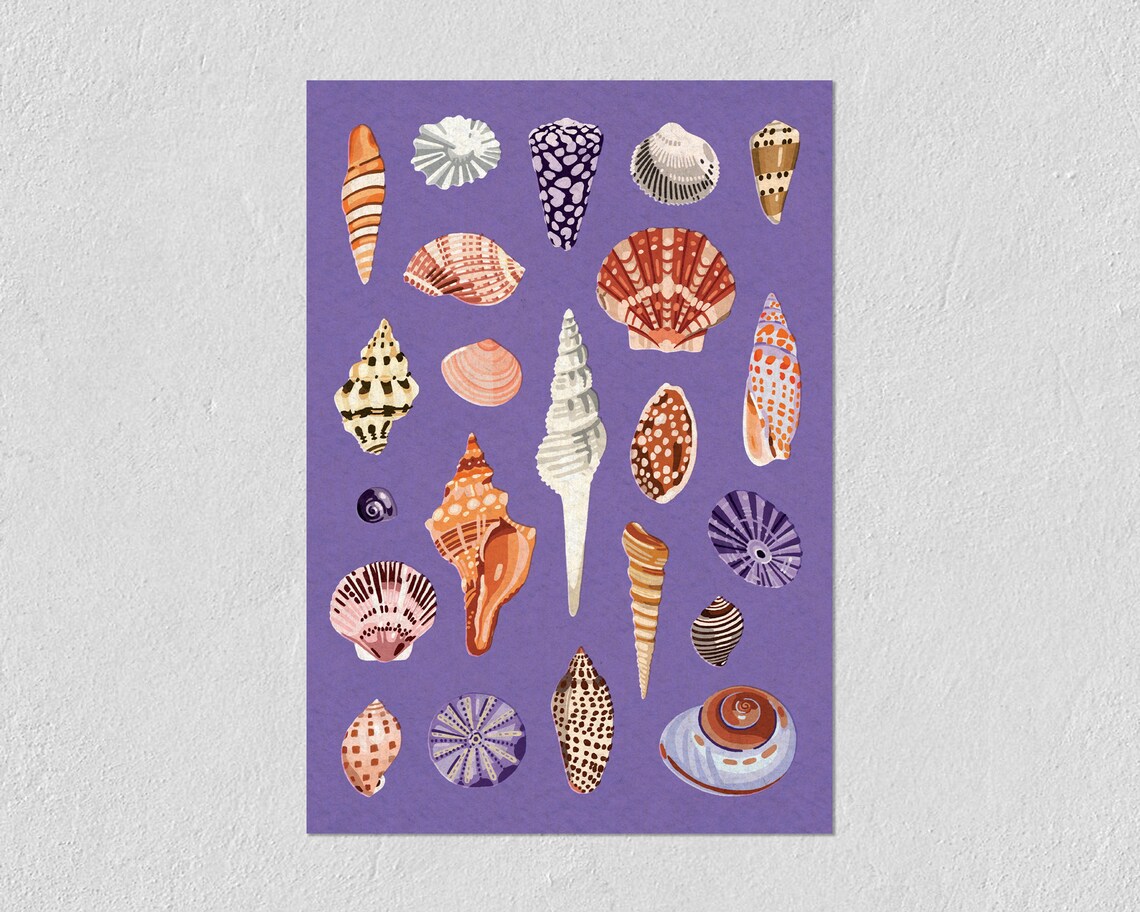 Sea Shells Collection, Illustrated Coastal Art Print - Image 2