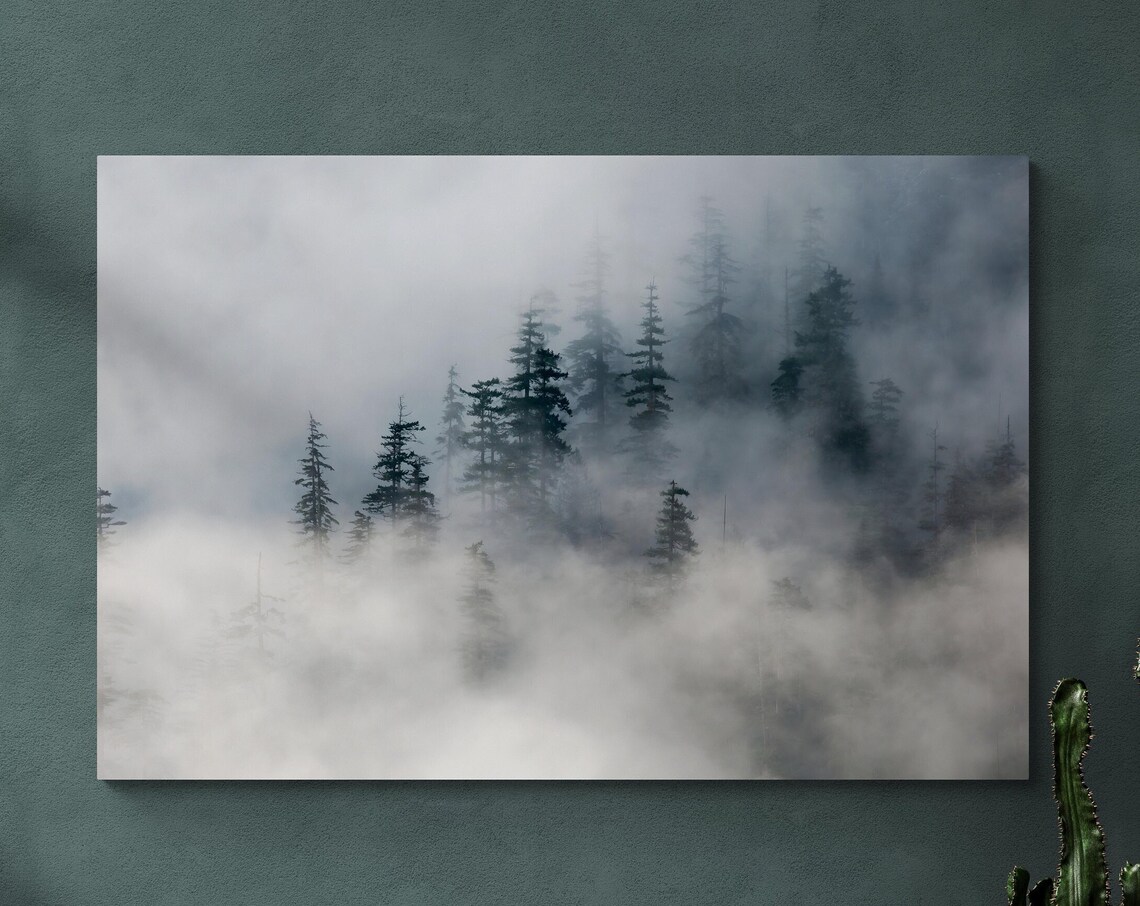 Misty Pine Forest Foggy Evergreen Woodland Nature Scene Poster - Image 3