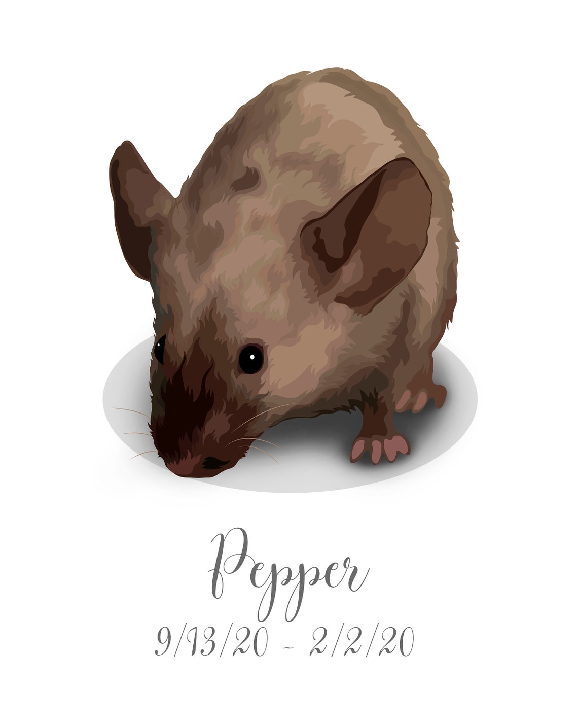 Hettie the Hamster Portrait From Photo Custom Name Style Poster - Image 2