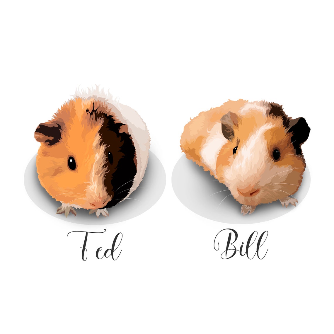 Custom Dog And Guinea Pig Portrait Vanilla And Tofu Gift Poster - Image 5