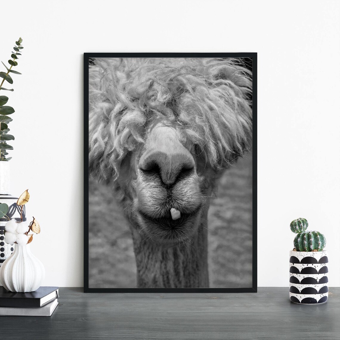 Alpaca Bad Hair Day Black And White Funny Animal Photo Art Poster
