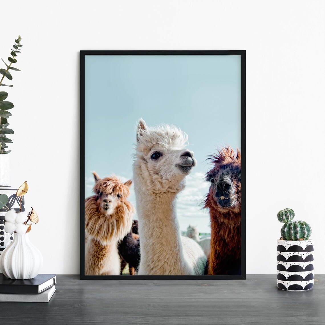 Three Funny Alpacas Close Up Portrait Blue Sky Animal Photo Poster