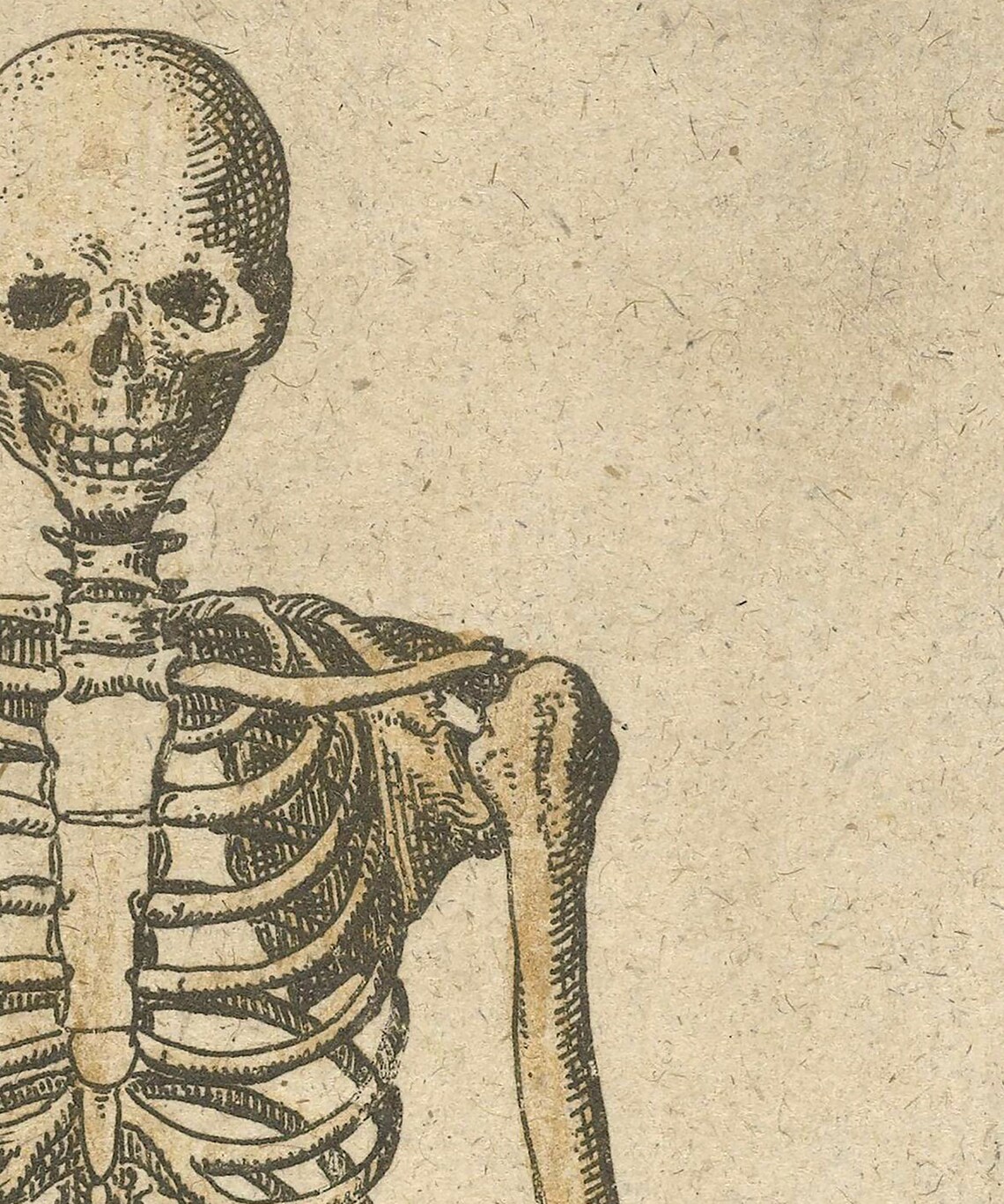Skeleton Vintage Halloween Gothic Wall Art Print - Image 2