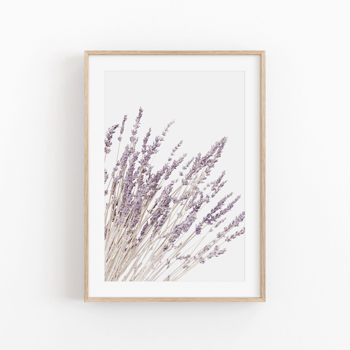 Lavender Flowers Modern Minimalist Art Print