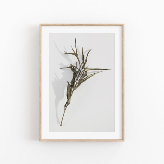 Botanical Print, Modern Minimalist Art Print