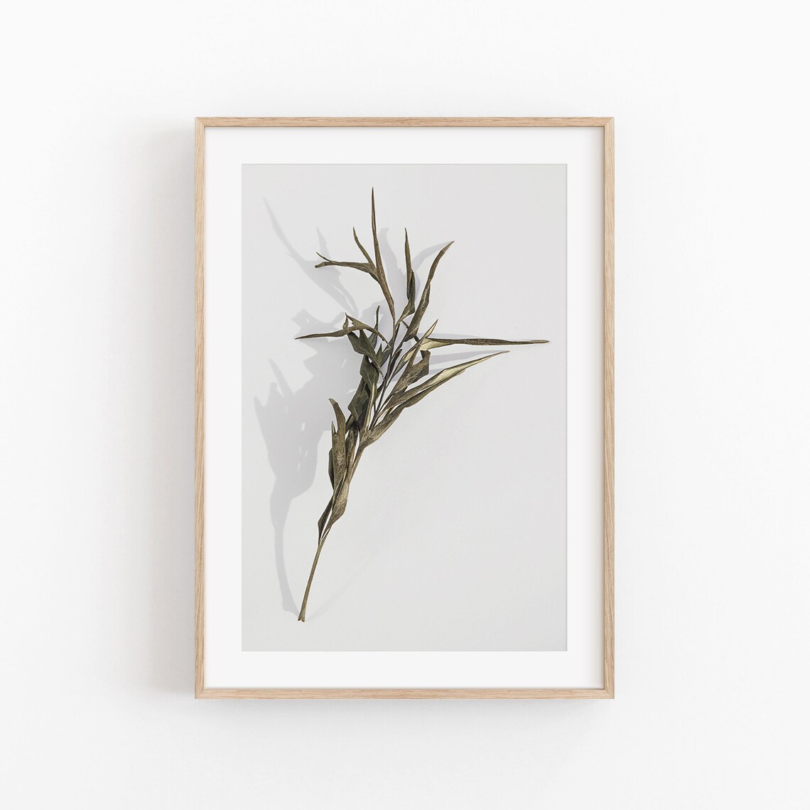 Botanical Print, Modern Minimalist Art Print