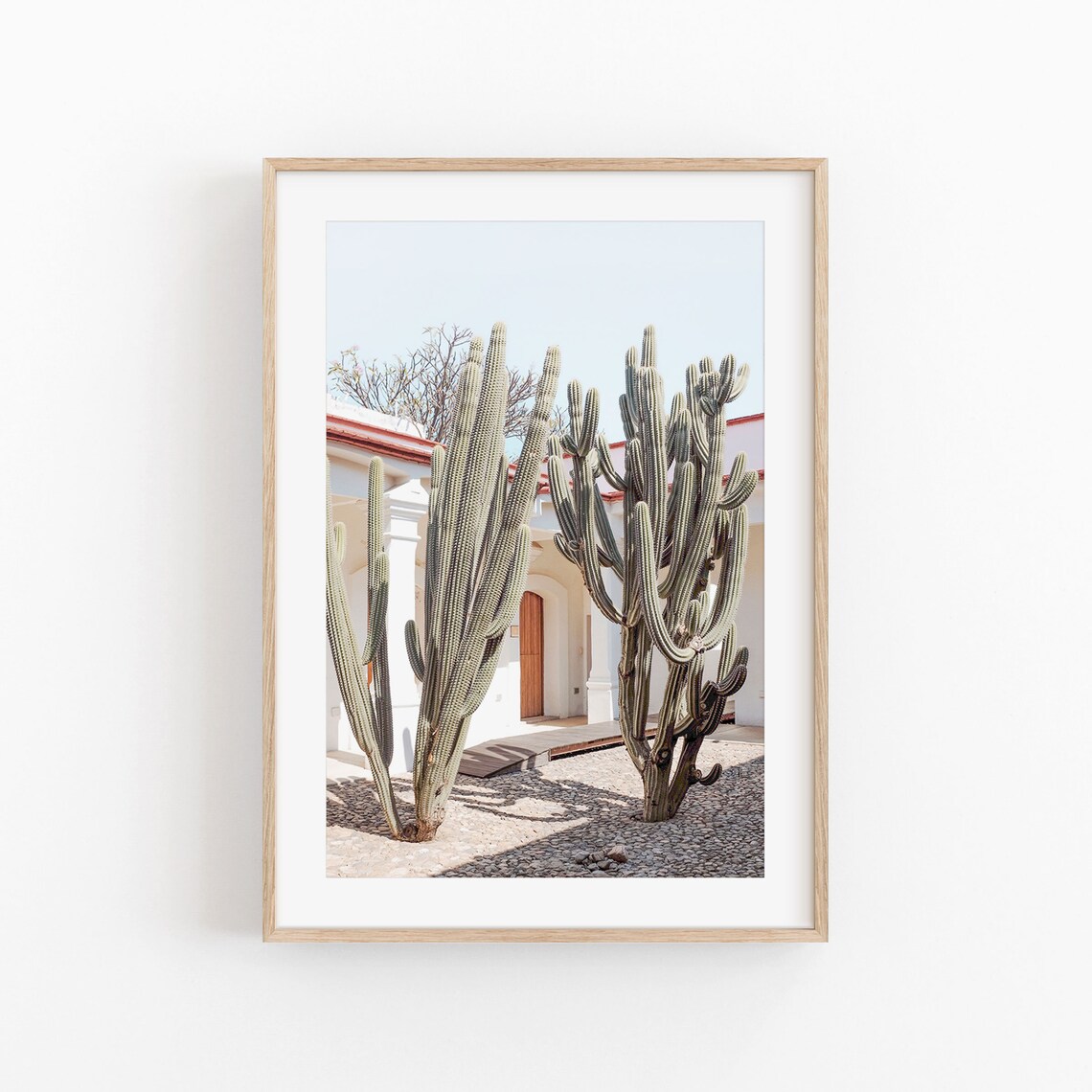 Cactus Print, Modern Minimalist Mexico Art Poster