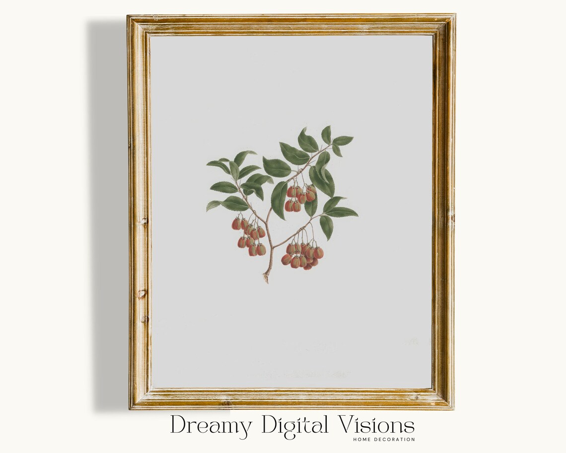 Vintage Botanical Berry Branch Illustration Antique Farmhouse Poster