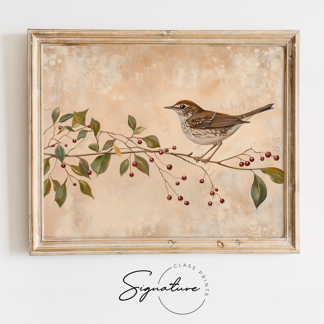 Hermit Thrush on Red Berry Branch Vintage Winter Bird Poster