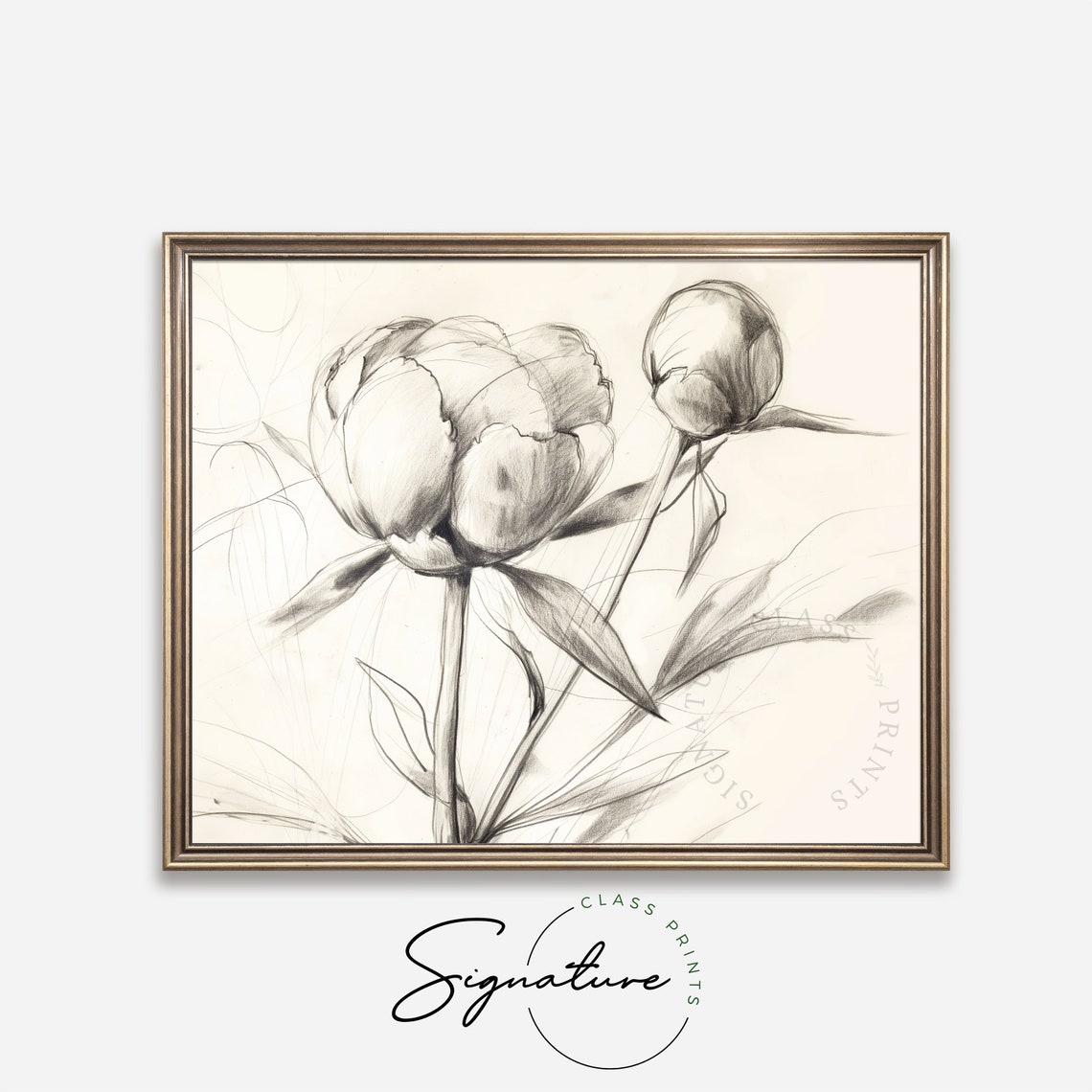 Peony Buds Delicate Gray Pencil Botanical Sketch Line Art Poster - Image 4