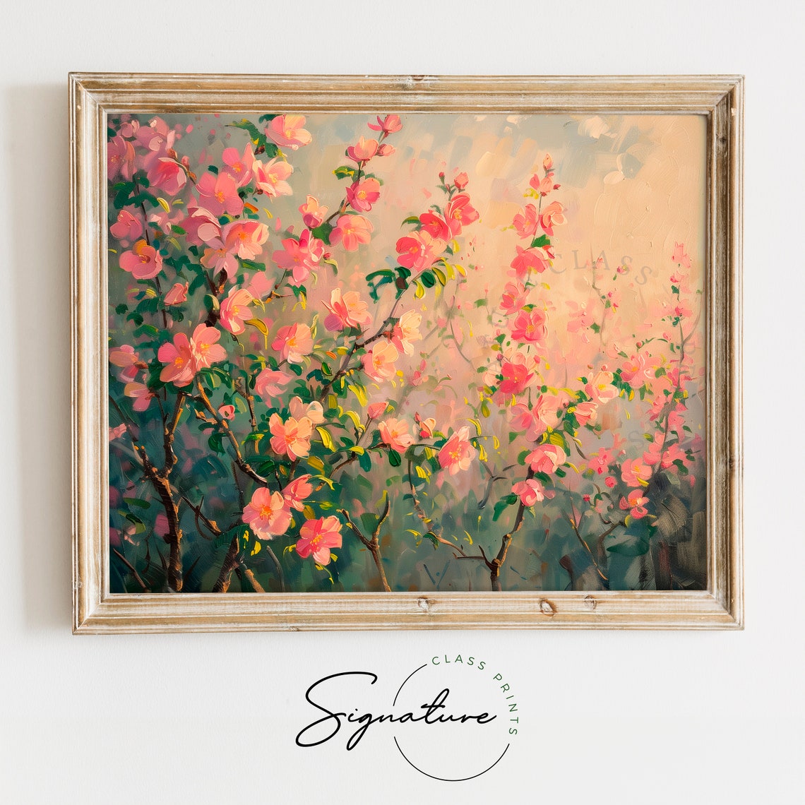Blossoming Peach Trees In Sunrise Glow Spring Orchard Poster
