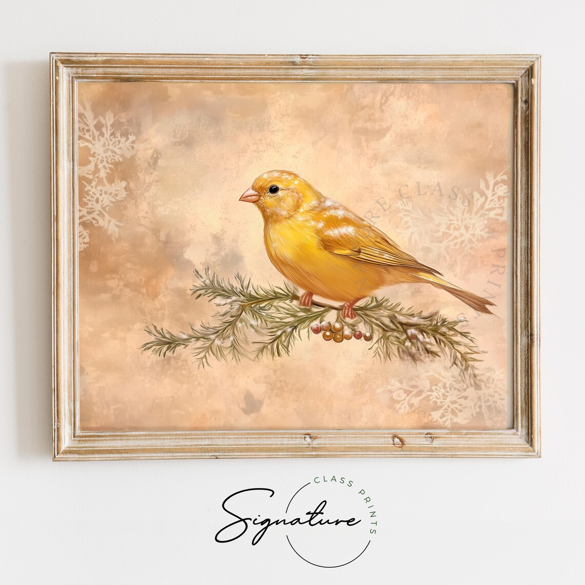Yellow Canary on Juniper Branch Berries Vintage Winter Bird Poster