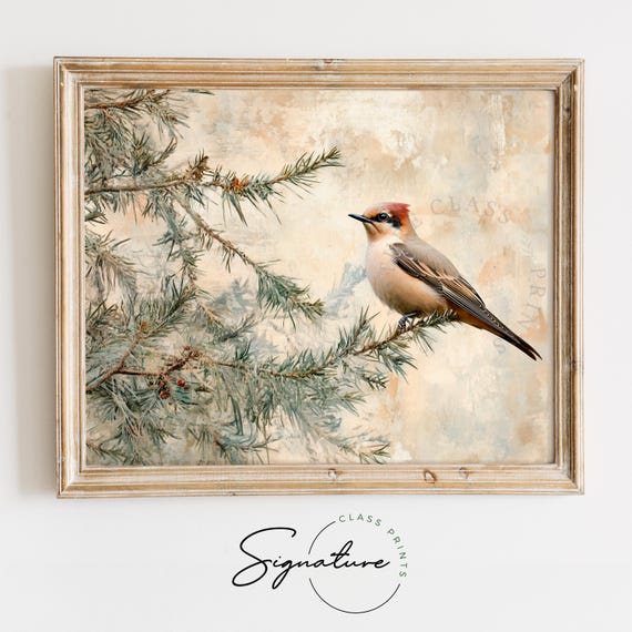 Serene Waxwing In Distressed Evergreens Winter Cottagecore Art Soft Bird Painting Rustic Nature Decor Moody Illustration 3225