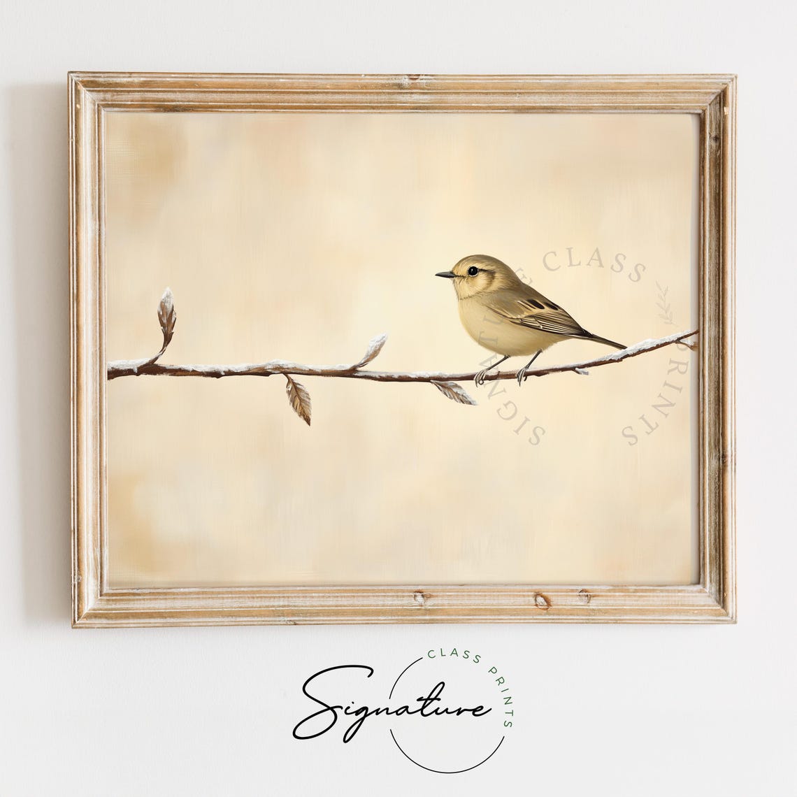 Tiny Goldcrest On Frosted Branch Vintage Winter Bird Art Poster