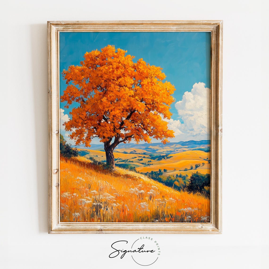 Lone Orange Tree Blue Sky Patchwork Hills Golden Pasture Poster
