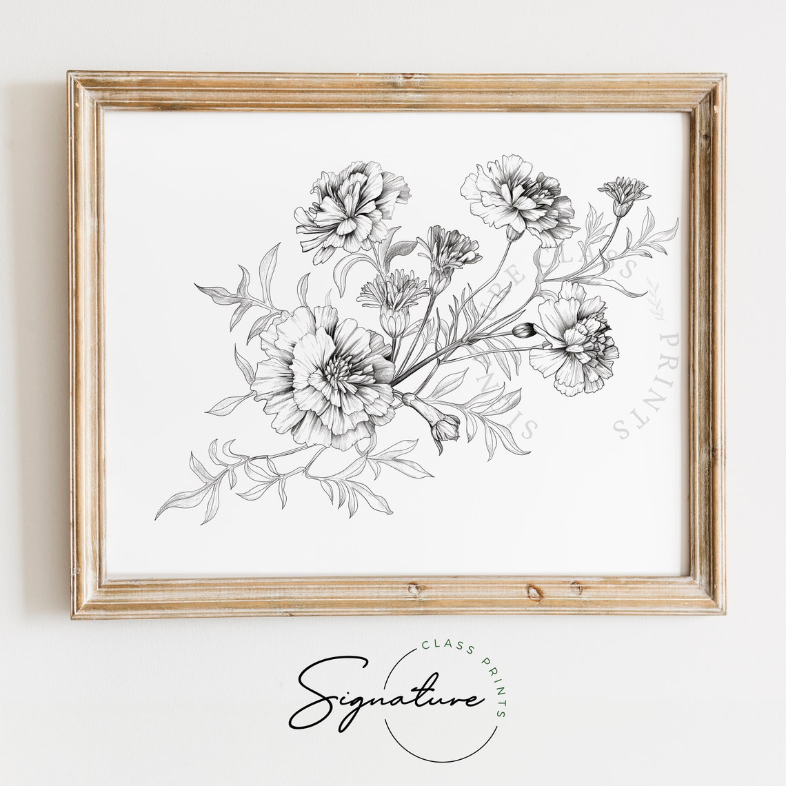 Marigold Cluster Fine Detailed Ink Botanical Line Drawing Poster