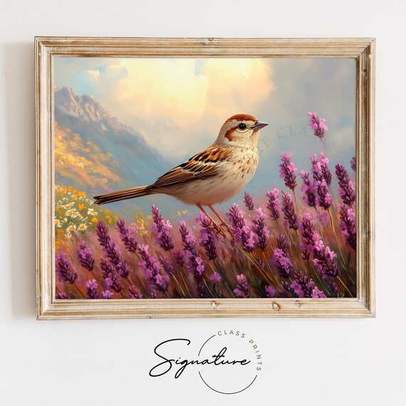 Sparrow Among Lavender Blooms Purple Flowers Mountain Meadow Summer Poster