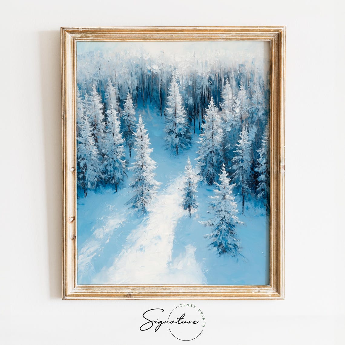 Frosted Blue Cedar Forest From Above Winter Aerial View Poster