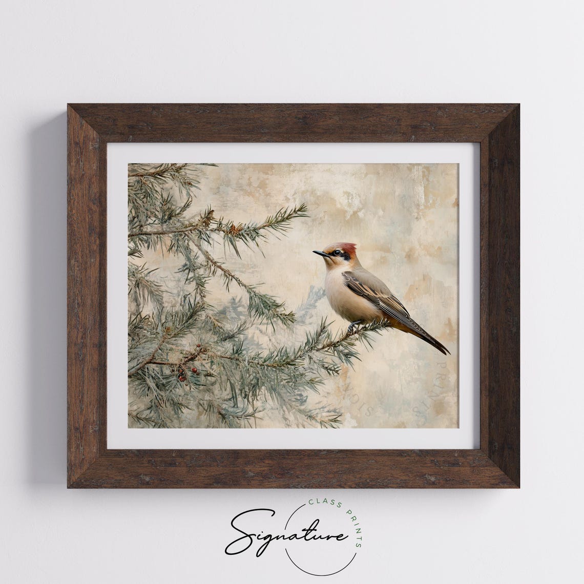 Cedar Waxwing Perched On Snowy Pine Bough Winter Songbird Wall Art - Image 5